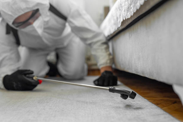 Professional Ant Control technician working in Union City, MI