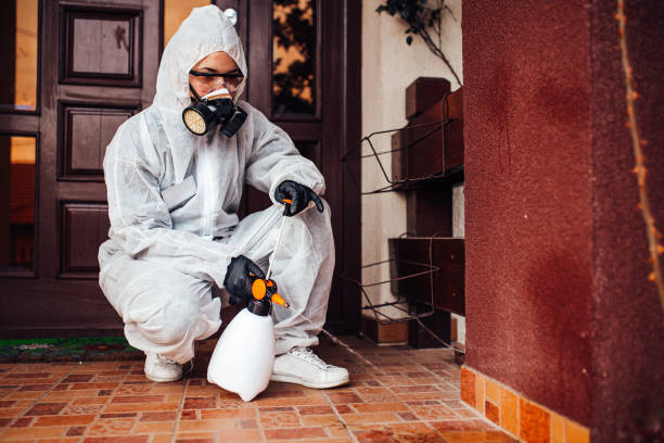 Reliable Ant Control contractor in Union City, MI by Nex Pest Control