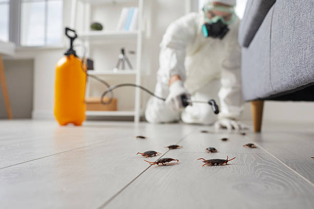 Trusted Termite Control service in Union City, MI - Nex Pest Control