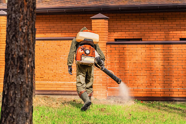 Trusted Bed Bug Control service in Union City, MI - Nex Pest Control